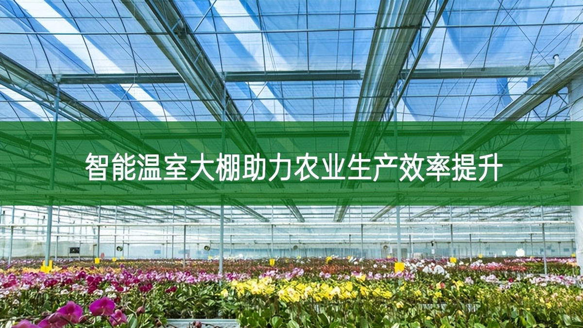 智能溫室大棚助力農業生產效率提升