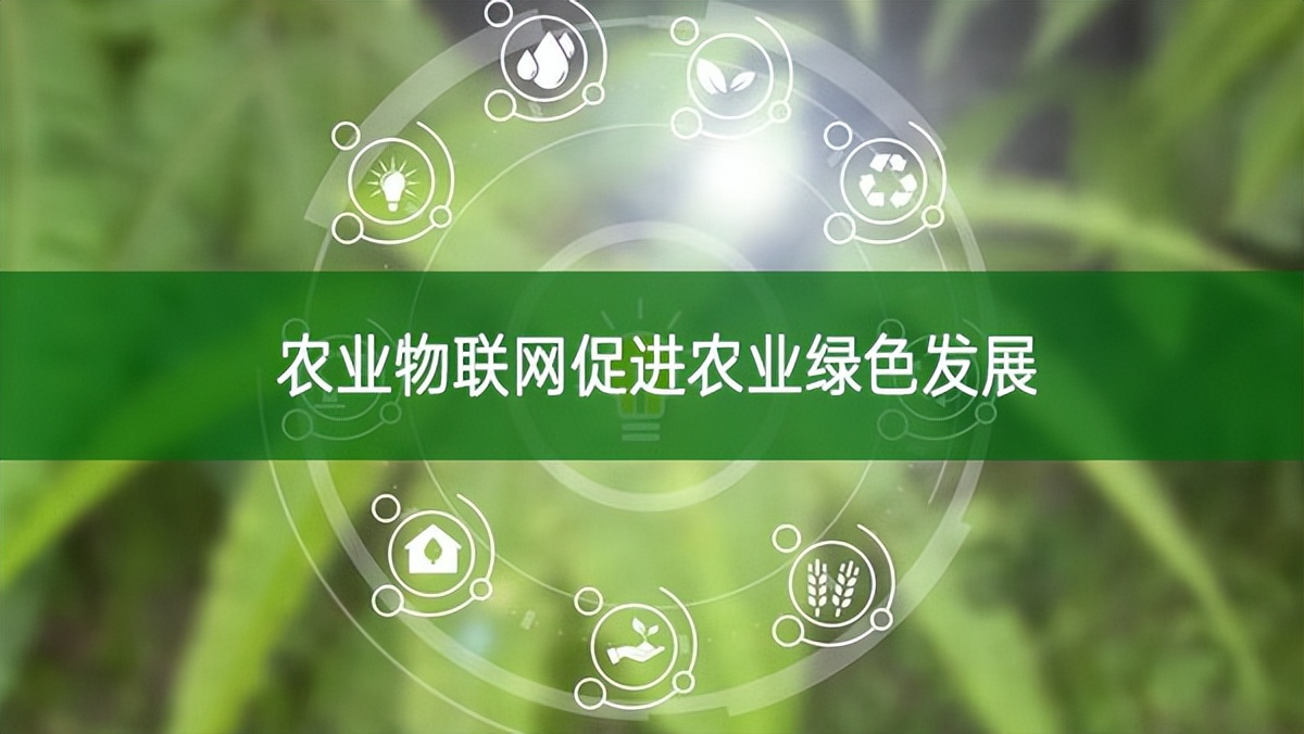 農業物聯網促進農業綠色發展