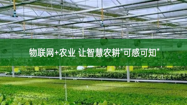 物聯網+農業 讓智慧農耕“可感可知”