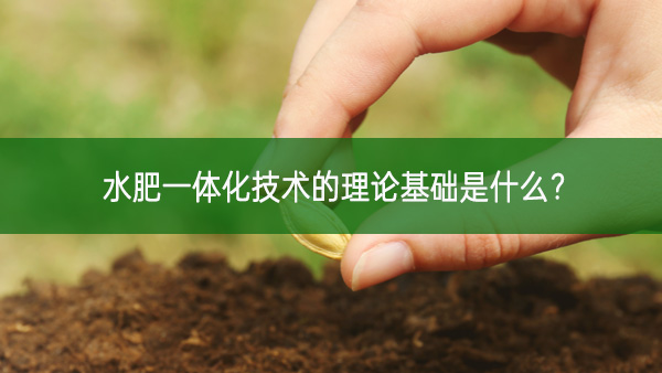 水肥一體化技術(shù)的理論基礎(chǔ)是什么?