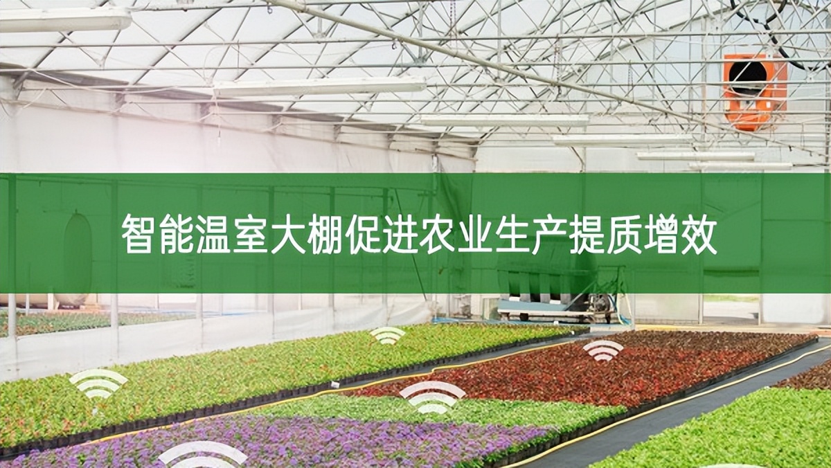 智能溫室大棚促進農業生產提質增效