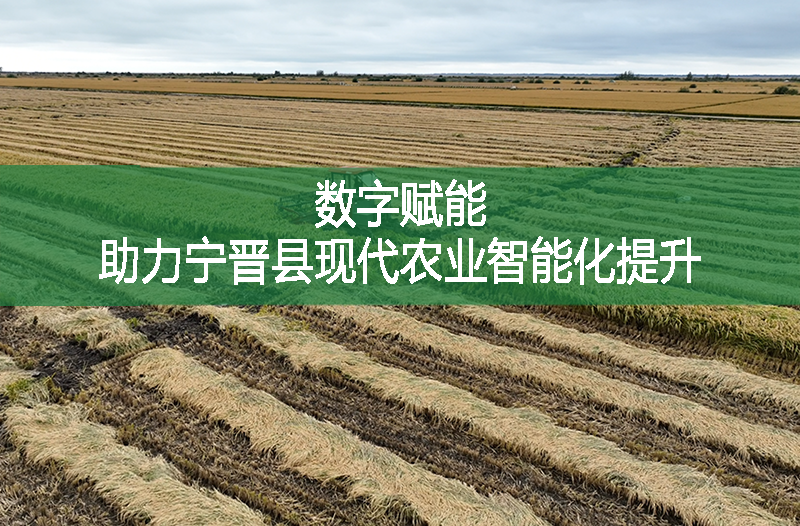 數(shù)字賦能，助力寧晉縣現(xiàn)代農(nóng)業(yè)智能化提升