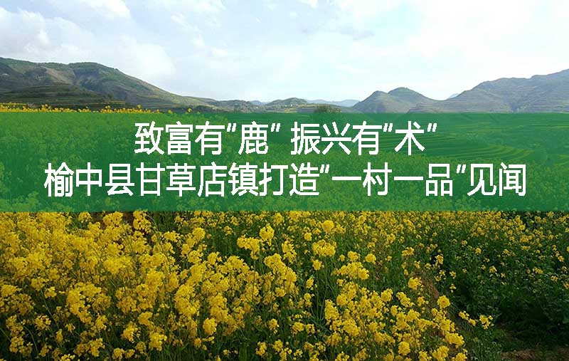 致富有“鹿” 振興有“術”——榆中縣甘草店鎮打造“一村一品”見聞
