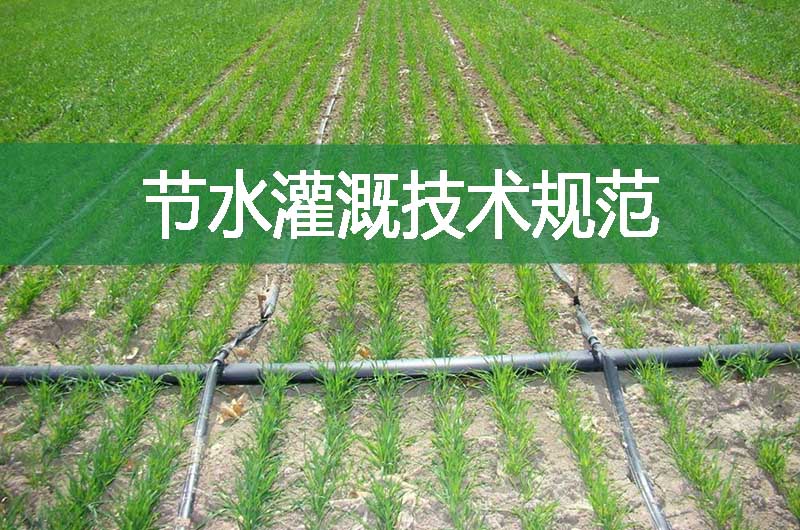 節(jié)水灌溉技術規(guī)范