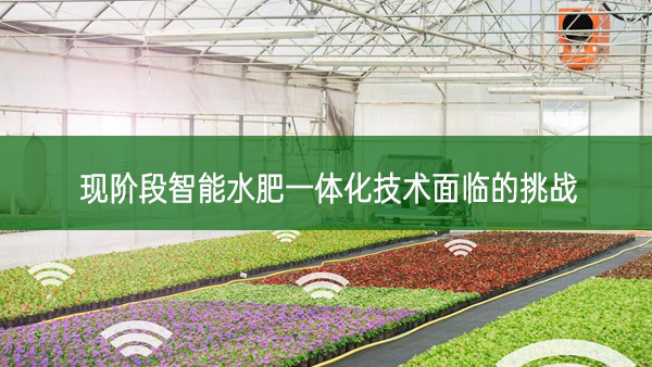 現(xiàn)階段智能水肥一體化技術(shù)面臨的挑戰(zhàn)