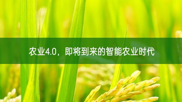 農(nóng)業(yè)4.0，即將到來的智能農(nóng)業(yè)時代