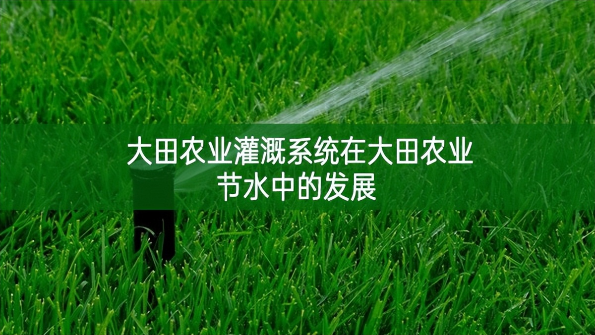 大田農(nóng)業(yè)灌溉系統(tǒng)在大田農(nóng)業(yè)節(jié)水中的發(fā)展