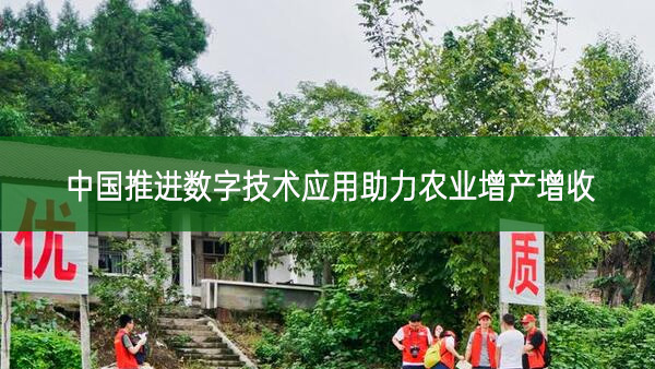 中國(guó)推進(jìn)數(shù)字技術(shù)應(yīng)用助力農(nóng)業(yè)增產(chǎn)增收