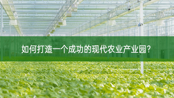 如何打造一個(gè)成功的現(xiàn)代農(nóng)業(yè)產(chǎn)業(yè)園?