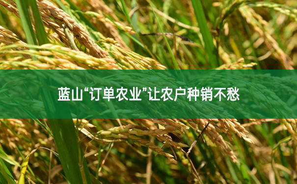 藍(lán)山“訂單農(nóng)業(yè)”讓農(nóng)戶種銷不愁