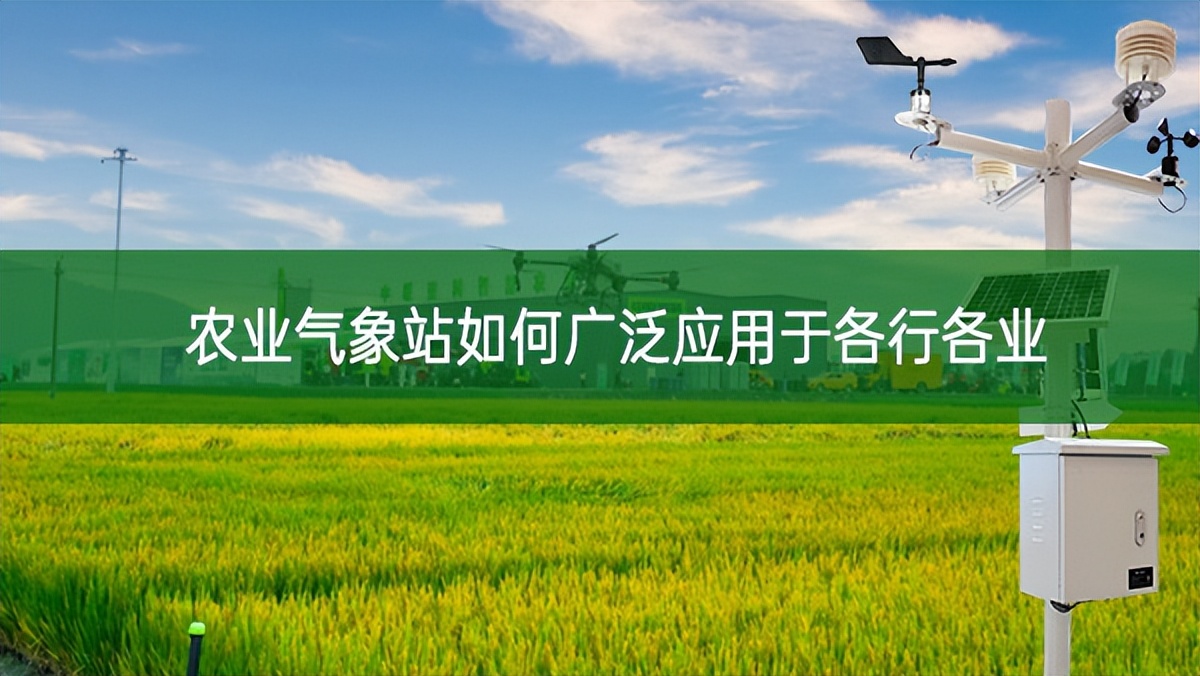 農業氣象站如何廣泛應用于各行各業