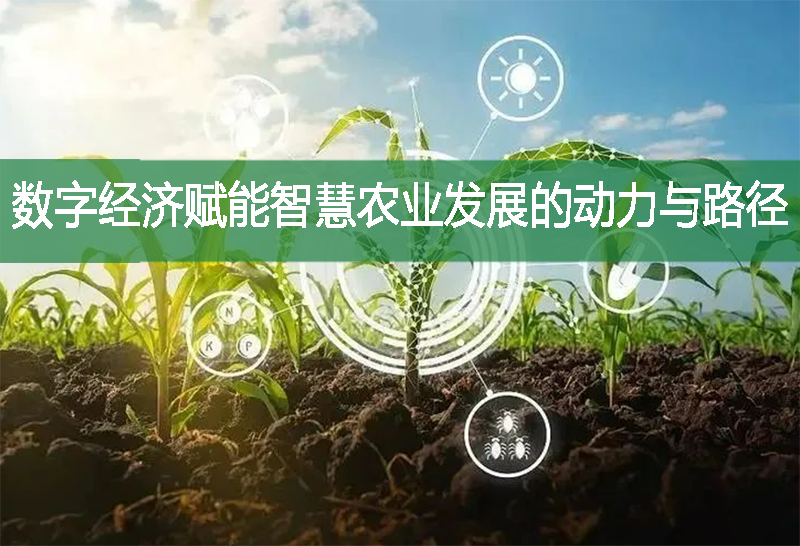 數(shù)字經(jīng)濟(jì)賦能智慧農(nóng)業(yè)發(fā)展的動(dòng)力與路徑