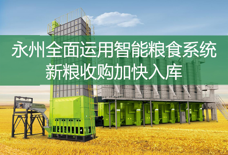 永州全面運用智能糧食系統(tǒng) 新糧收購加快入庫