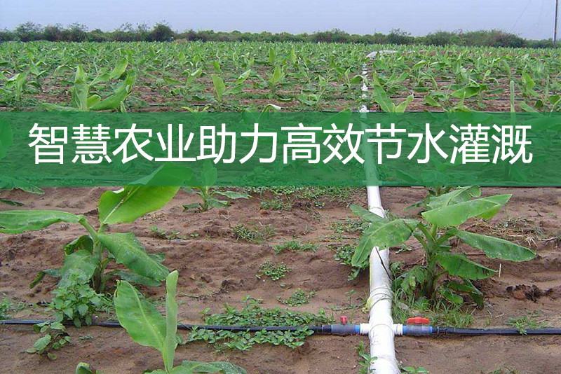 智慧農(nóng)業(yè)助力高效節(jié)水灌溉