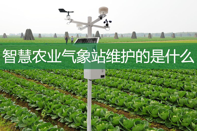 智慧農(nóng)業(yè)氣象站維護(hù)的是什么