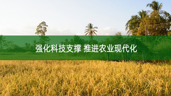 強(qiáng)化科技支撐 推進(jìn)農(nóng)業(yè)現(xiàn)代化