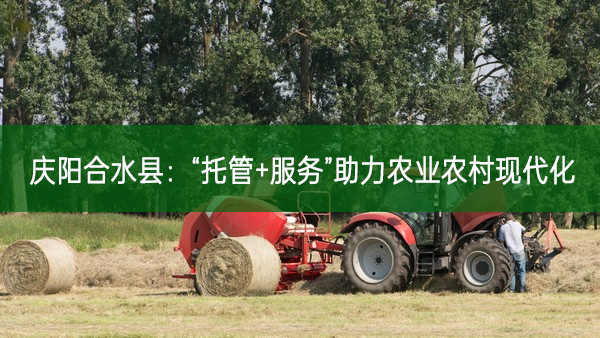 慶陽合水縣：“托管+服務”助力農業農村現代化