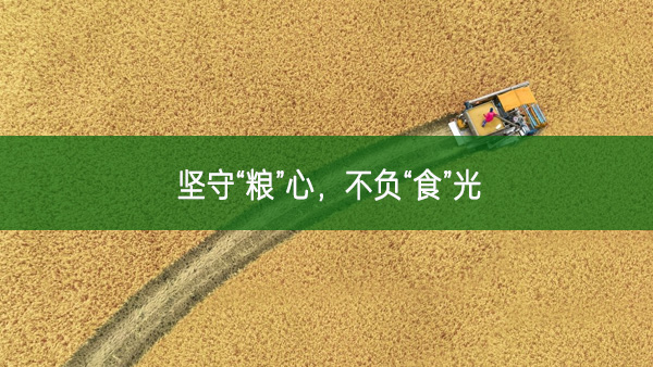 堅守“糧”心，不負“食”光