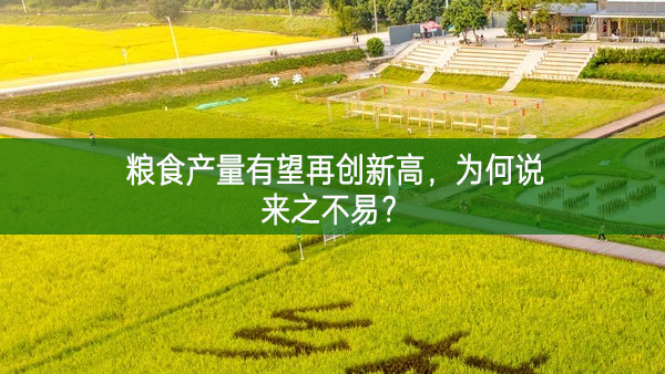 糧食產(chǎn)量有望再創(chuàng)新高 為何說來之不易？