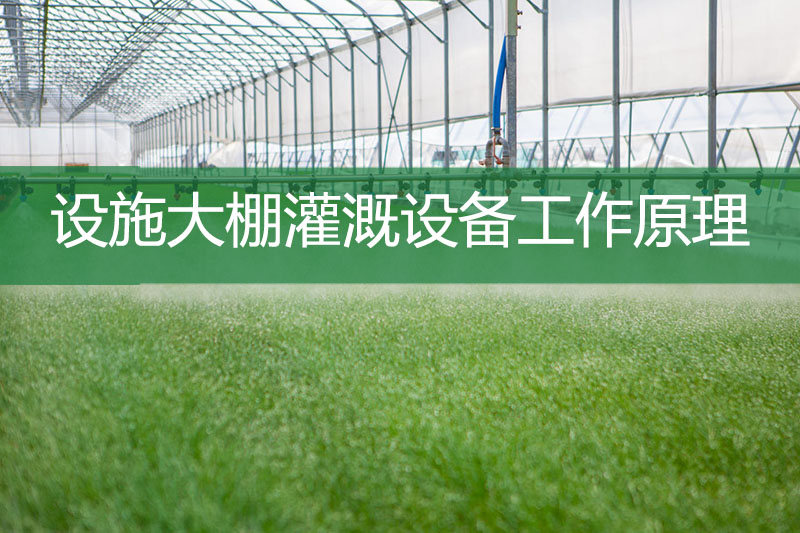 設施大棚灌溉設備工作原理