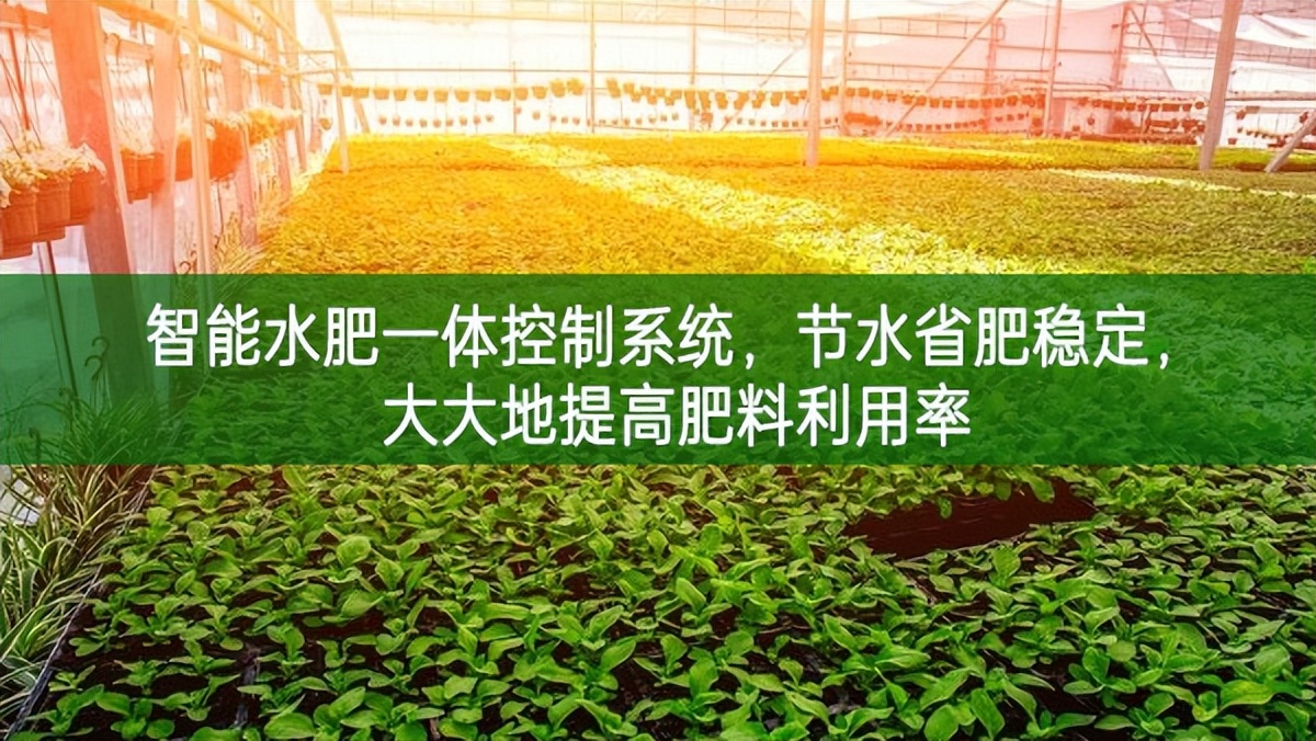 智能水肥一體控制系統，節水省肥穩定，大大地提高肥料利用率