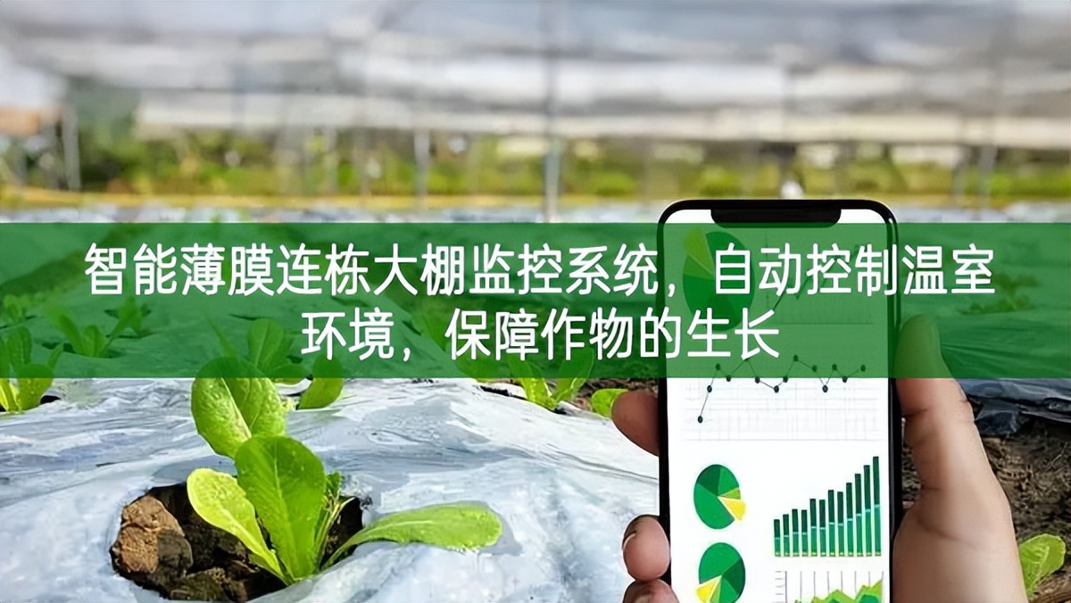 智能薄膜連棟大棚監控系統,自動控制溫室環境,保障作物的生長 智能薄膜連棟大棚監控系統,自動控制溫室環境,保障作物的生長