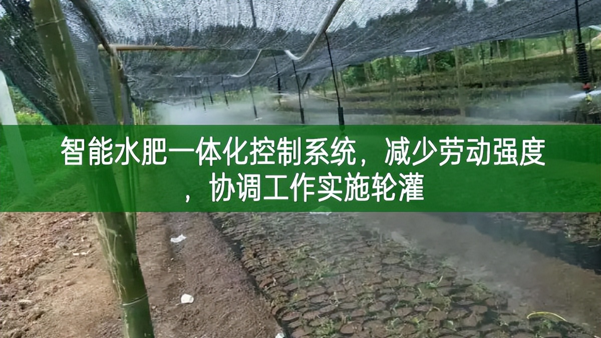 智能水肥一體化控制系統(tǒng)，減少勞動(dòng)強(qiáng)度，協(xié)調(diào)工作實(shí)施輪灌