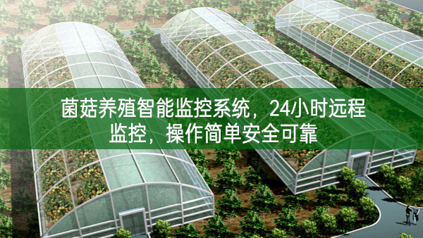菌菇養殖智能監控系統，24小時遠程監控，操作簡單安全可靠