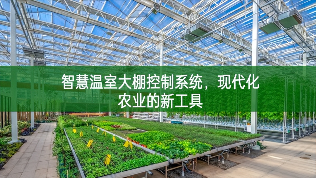 智慧溫室大棚控制系統，現代化農業的新工具