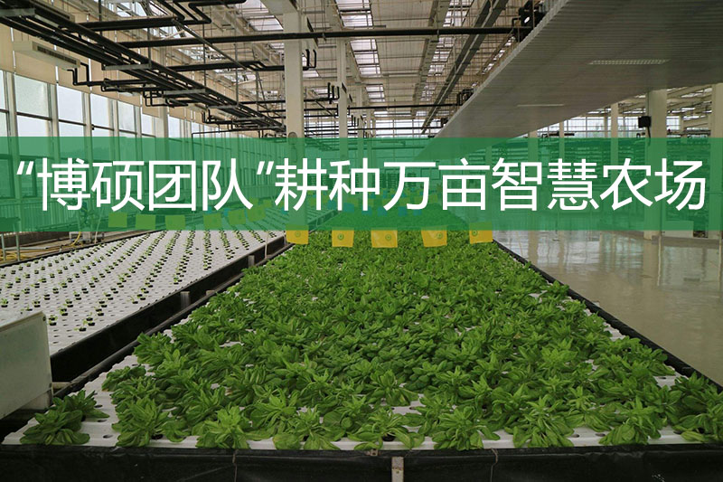 “博碩團隊”耕種萬畝智慧農(nóng)場