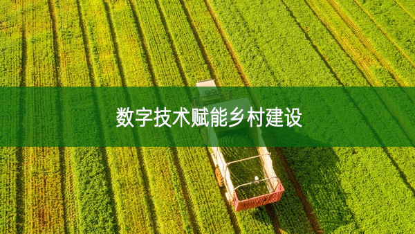 數(shù)字技術(shù)賦能鄉(xiāng)村建設(shè)