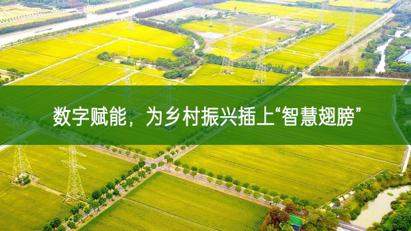 數(shù)字賦能，為鄉(xiāng)村振興插上“智慧翅膀”