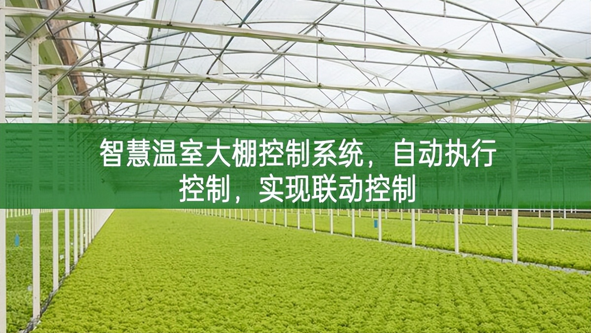 智慧溫室大棚控制系統,自動執行控制,實現聯動控制