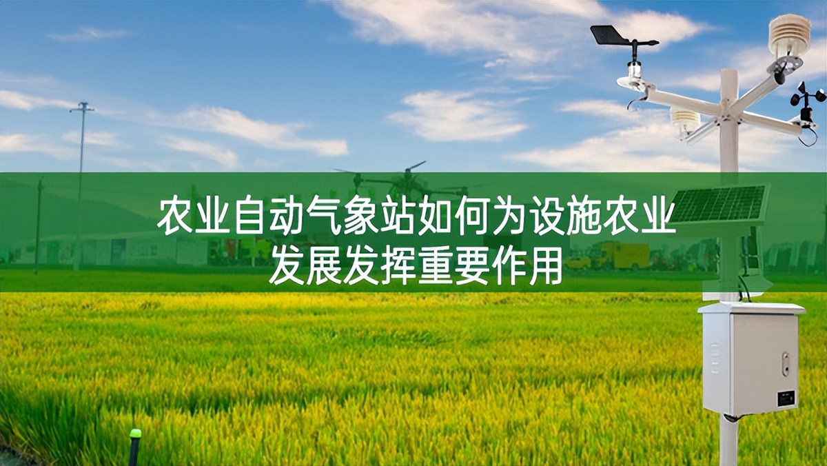 農業自動氣象站如何為設施農業發展發揮重要作用