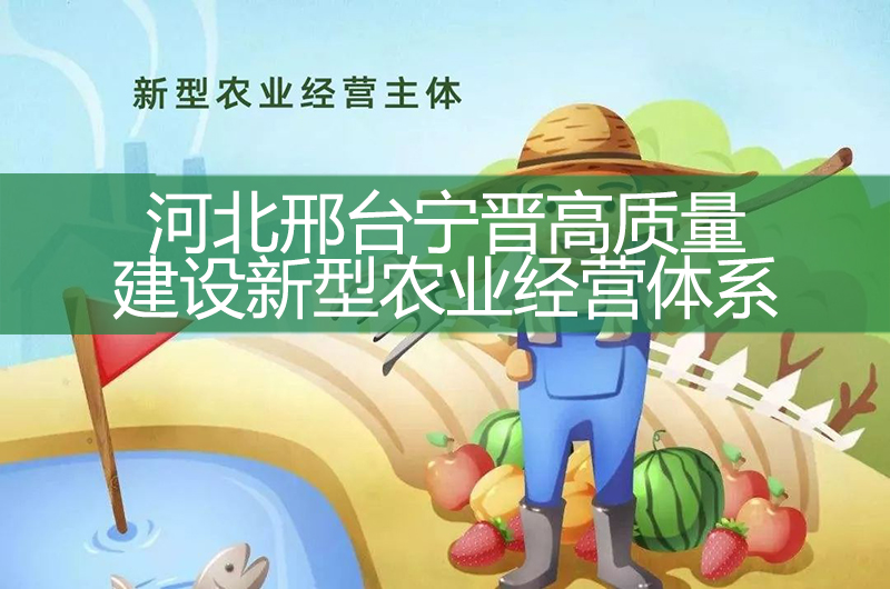 新型農業經營體系