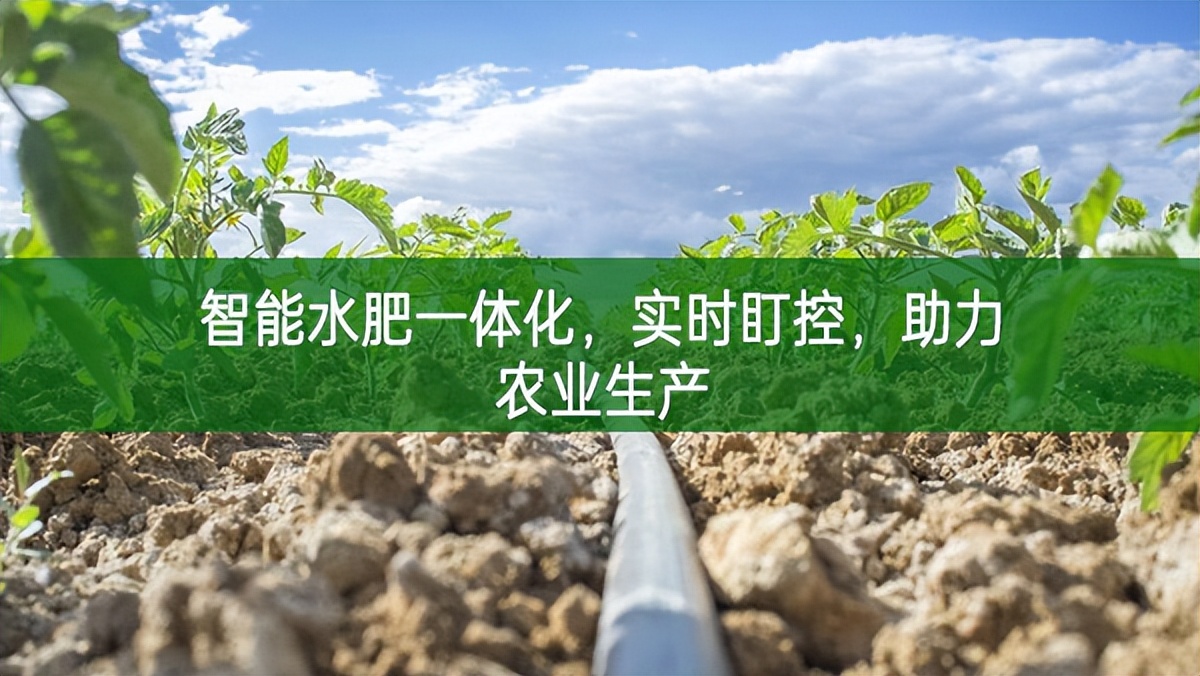智能水肥一體化，實時盯控，助力農業生產