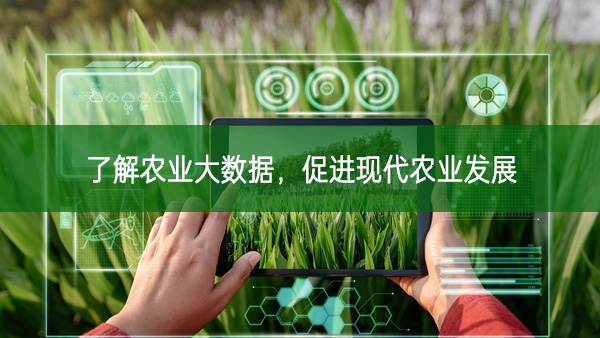 了解農(nóng)業(yè)大數(shù)據(jù)，促進(jìn)現(xiàn)代農(nóng)業(yè)發(fā)展