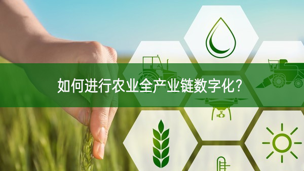 如何進(jìn)行農(nóng)業(yè)全產(chǎn)業(yè)鏈數(shù)字化？