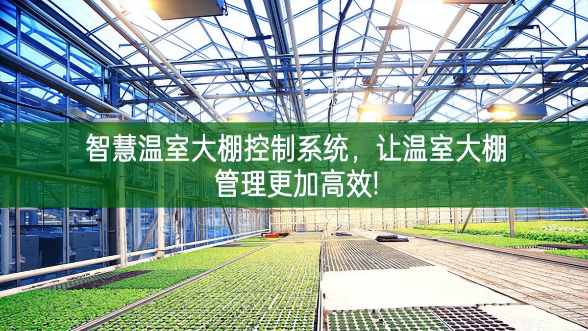 智慧溫室大棚控制系統(tǒng)，讓溫室大棚管理更加高效!
