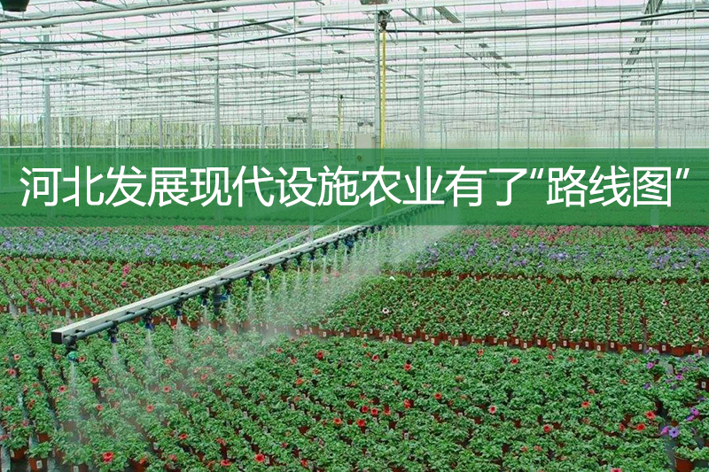 河北發(fā)展現(xiàn)代設(shè)施農(nóng)業(yè)有了“路線圖”