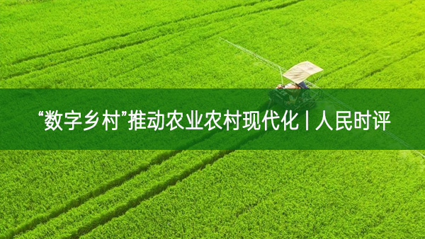 “數字鄉村”推動農業農村現代化 | 人民時評