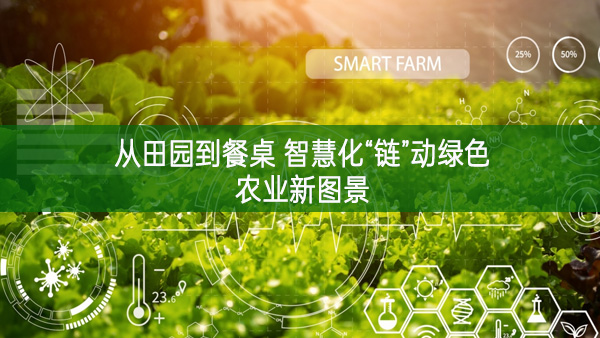 從田園到餐桌 智慧化“鏈”動綠色農(nóng)業(yè)新圖景