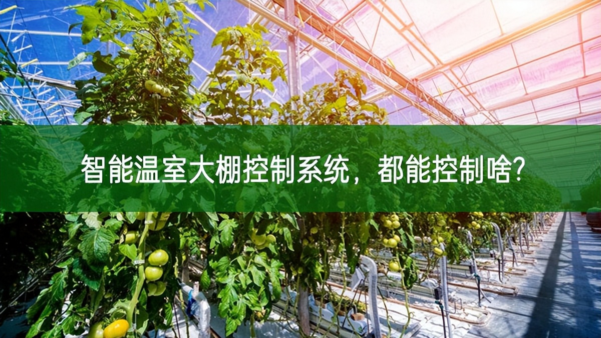 智能溫室大棚控制系統，都能控制啥?