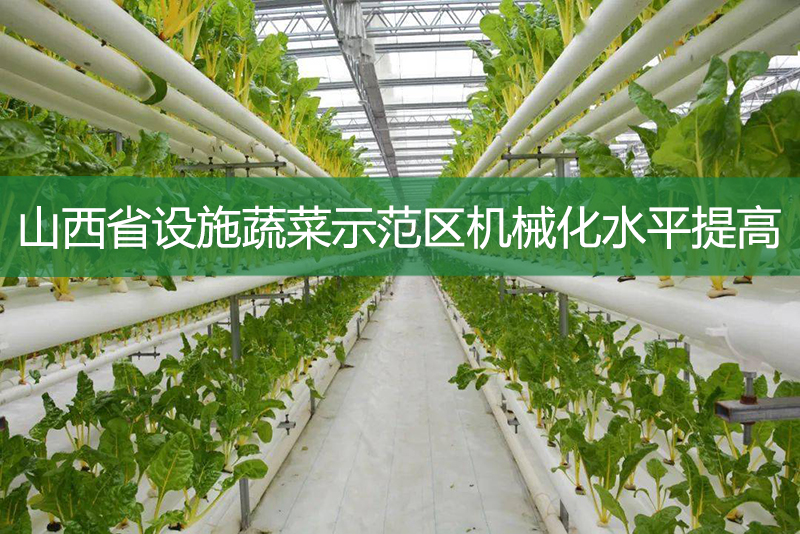 山西省設(shè)施蔬菜示范區(qū)機械化水平提高