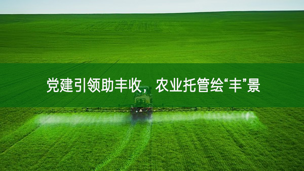 黨建引領(lǐng)助豐收，農(nóng)業(yè)托管繪“豐”景