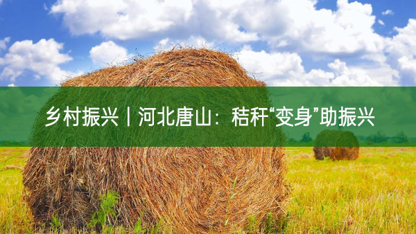鄉(xiāng)村振興｜河北唐山：秸稈“變身”助振興