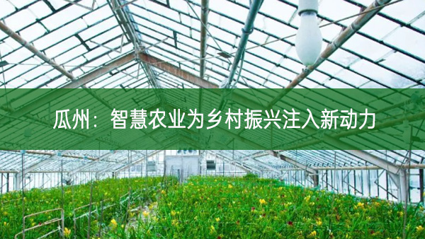 瓜州:智慧農(nóng)業(yè)為鄉(xiāng)村振興注入新動(dòng)力