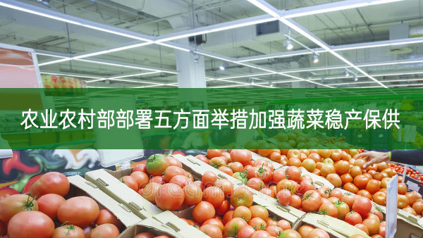 農業農村部部署五方面舉措加強蔬菜穩產保供