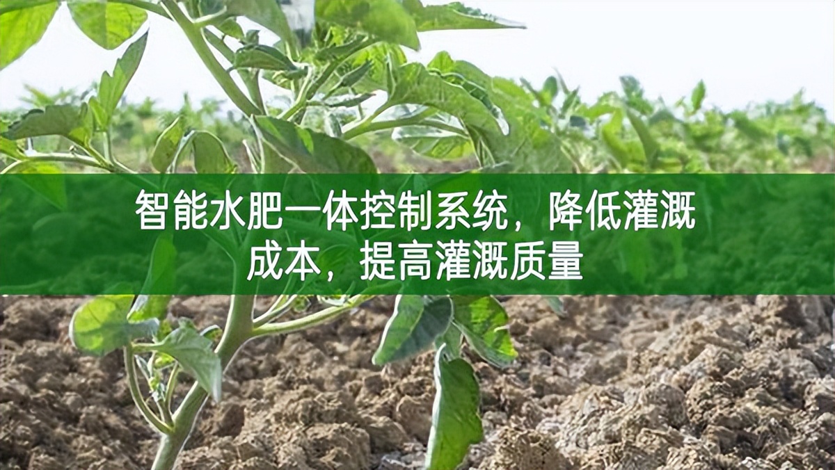 智能水肥一體控制系統，降低灌溉成本，提高灌溉質量