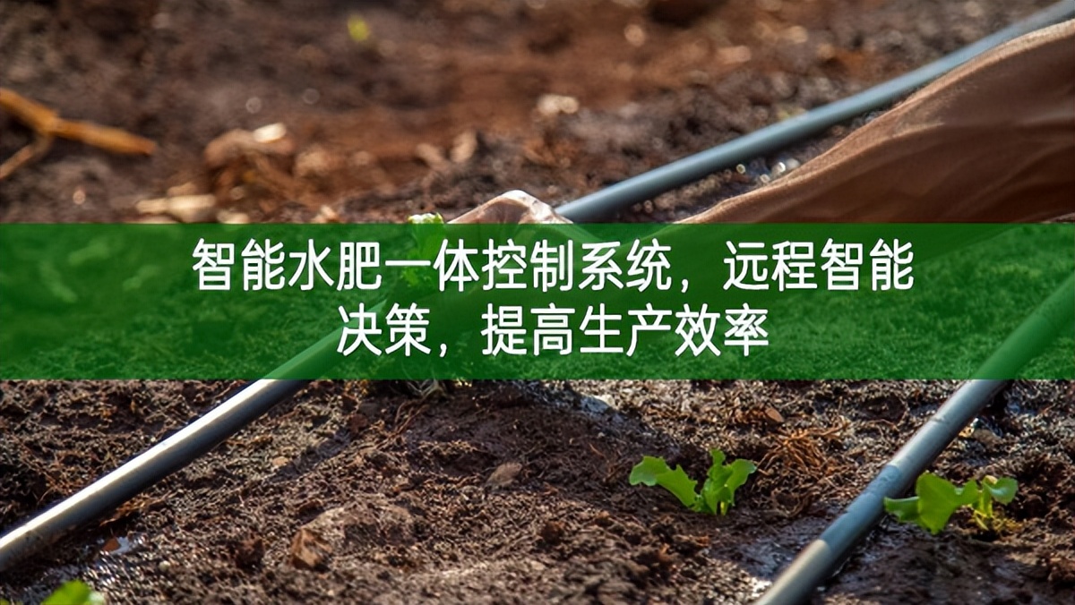 智能水肥一體控制系統，遠程智能決策，提高生產效率